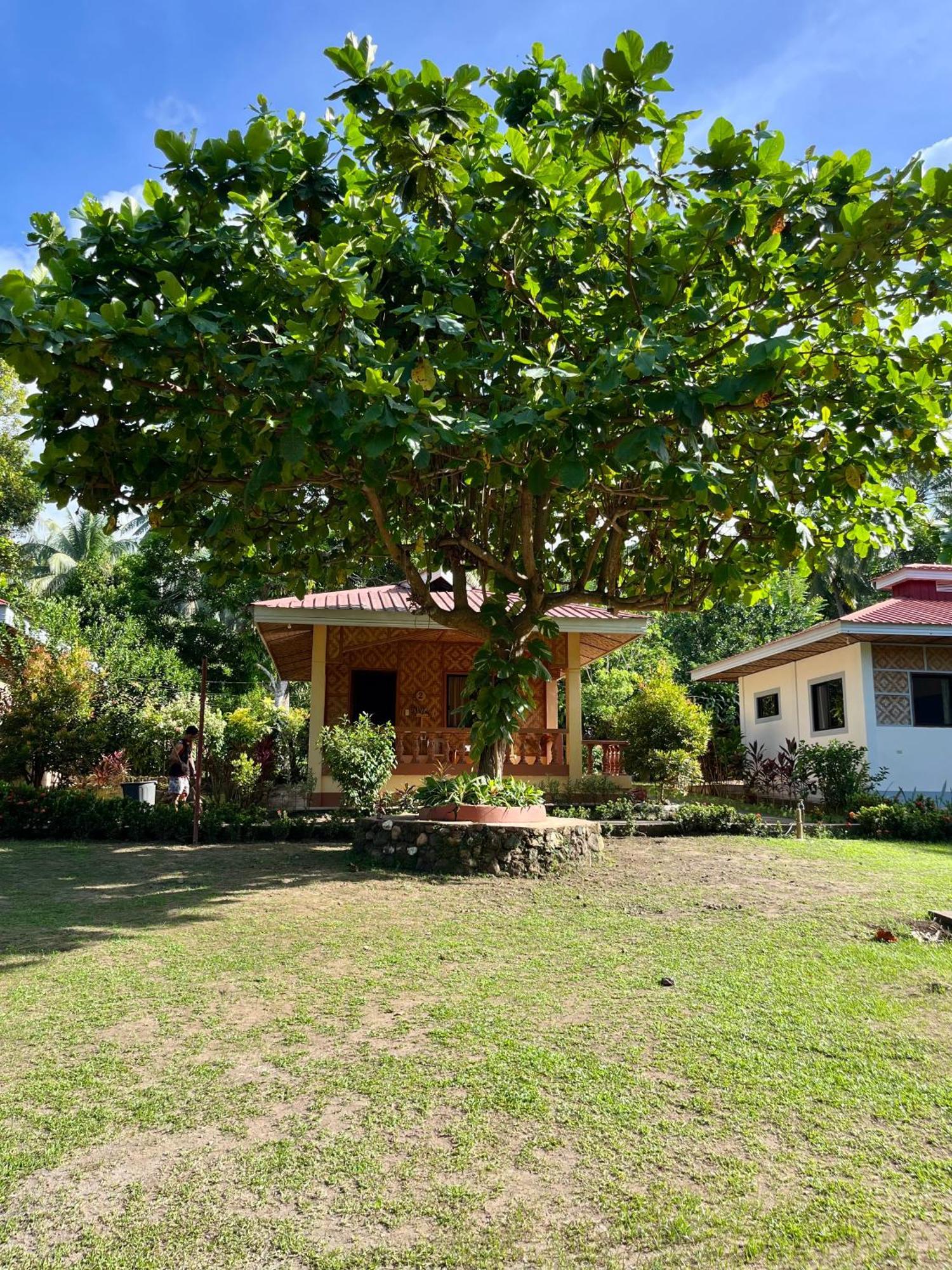 Paco'S Garden Home Stay マンバヤオ エクステリア 写真