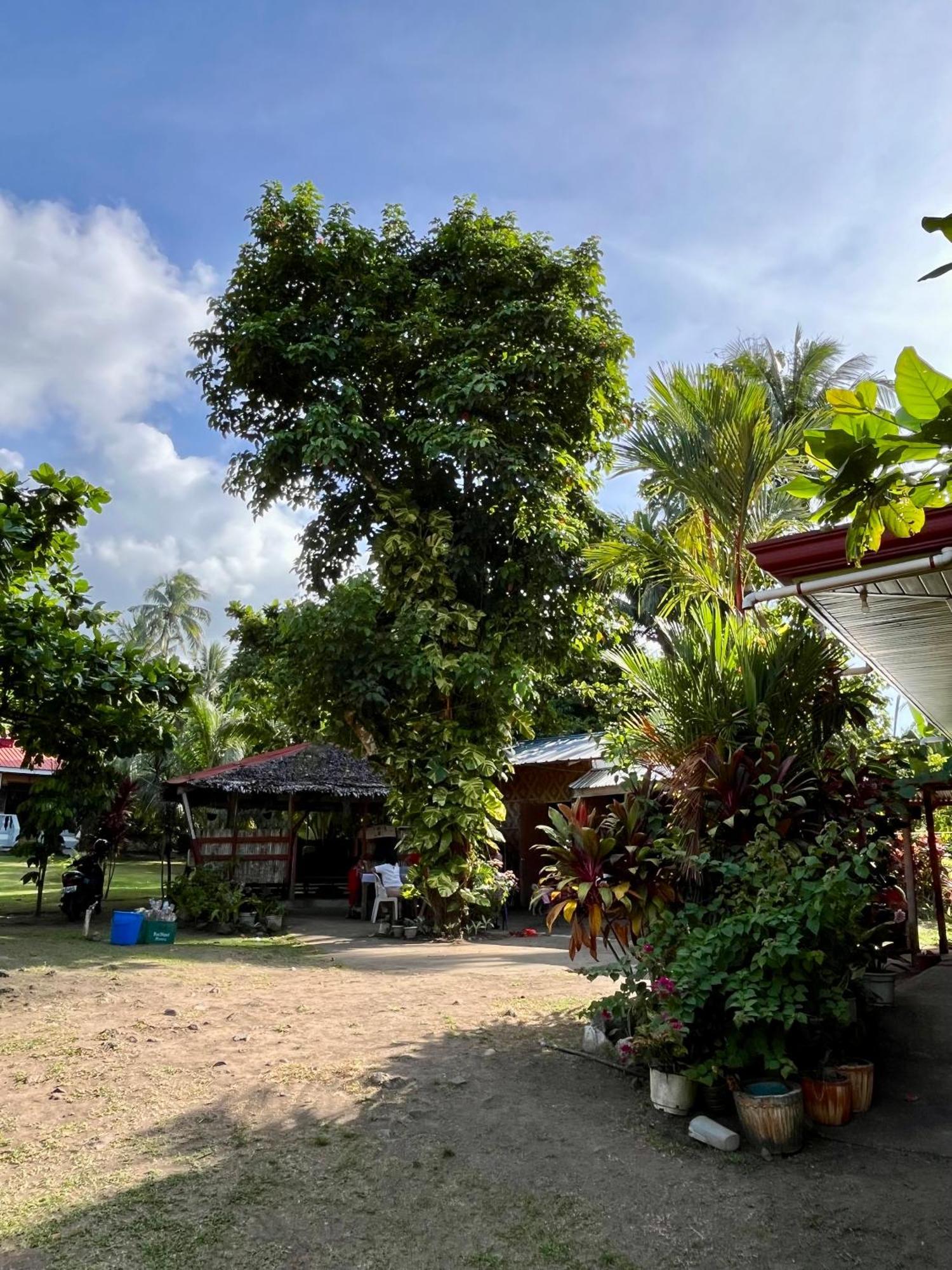 Paco'S Garden Home Stay マンバヤオ エクステリア 写真